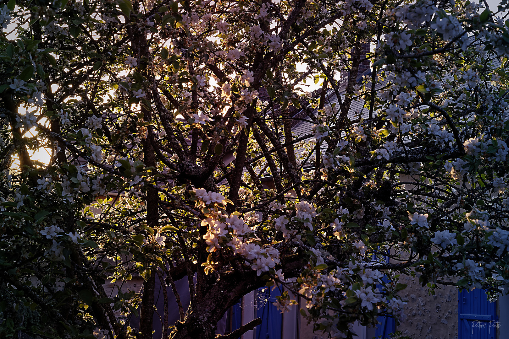 Soir de printemps