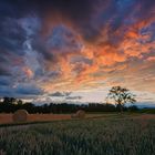 Soir d'été, orageux...