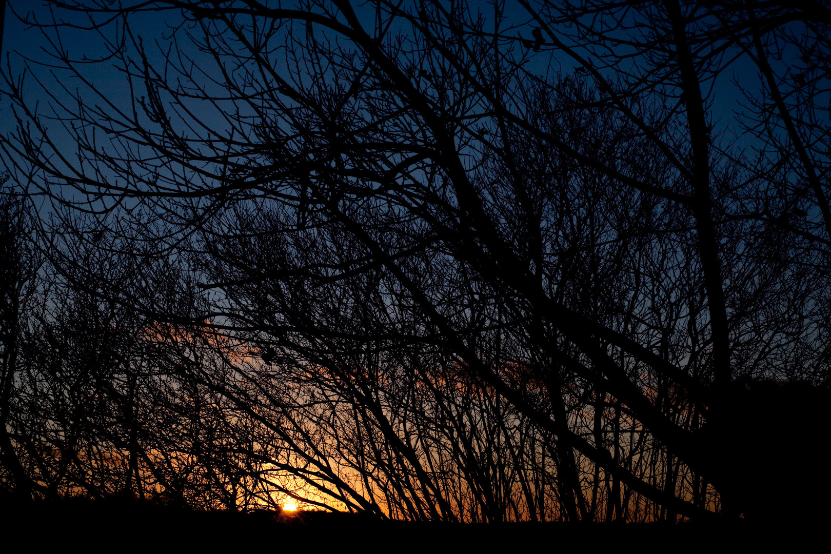 Soir d'hiver en Creuse