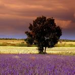 Soir d'orage