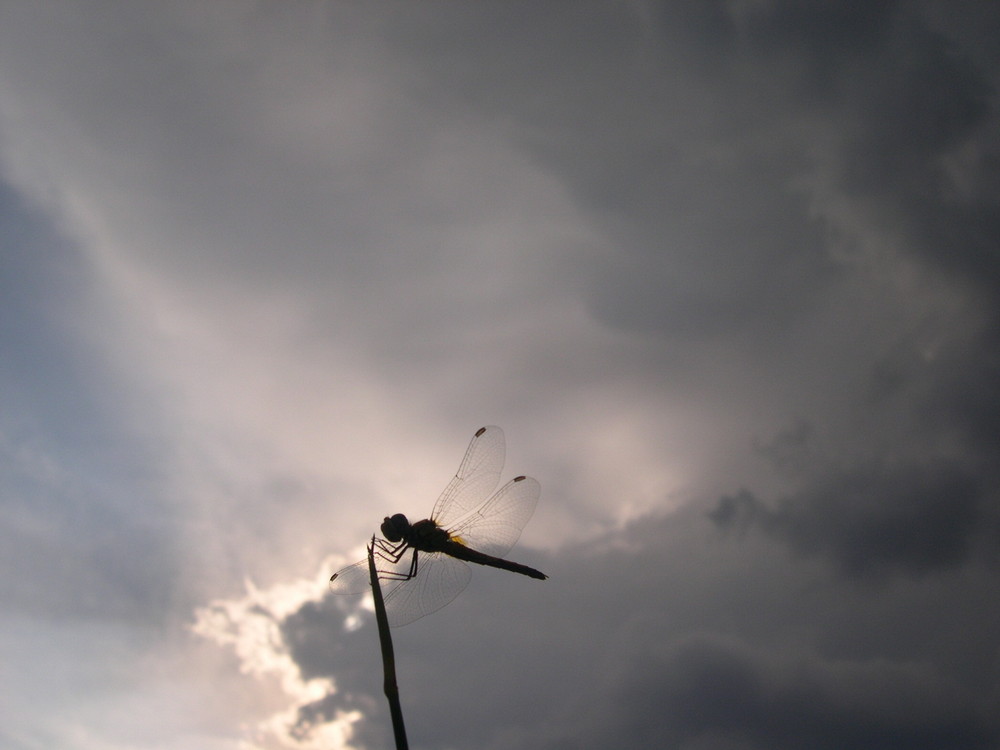 soir d'orage 2