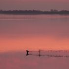 soirée au bord de l'eau