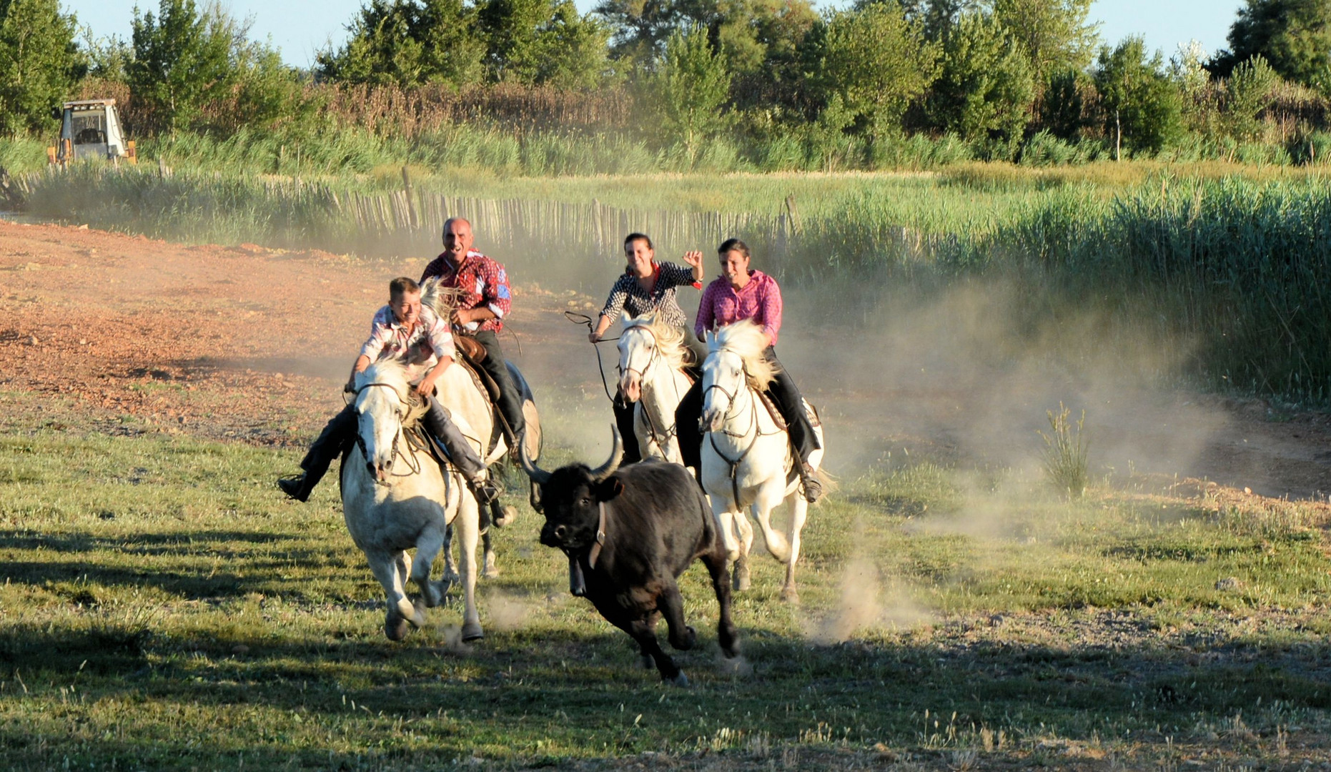 soirée camarguaise