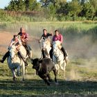 soirée camarguaise