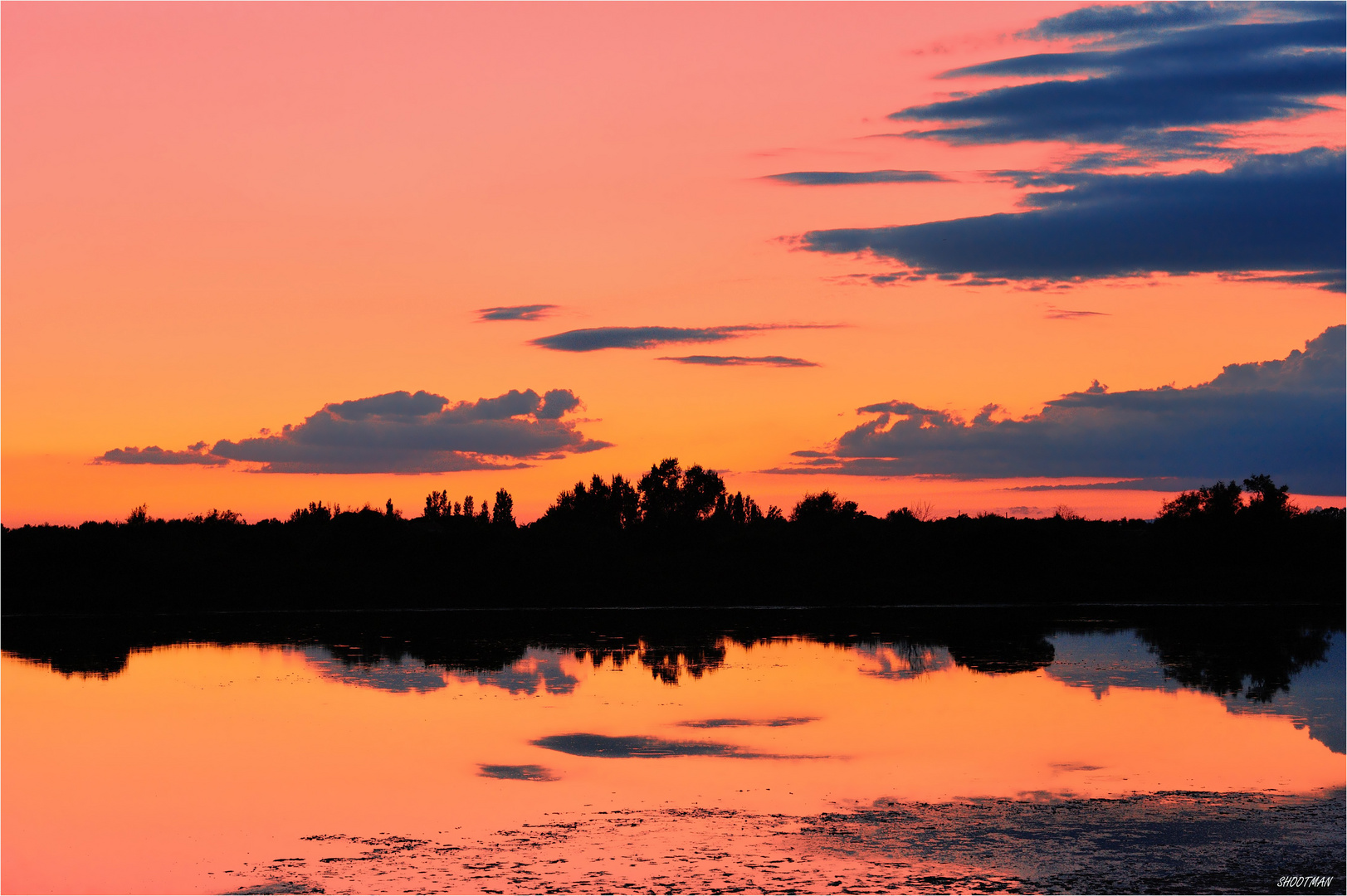 Soirée Camarguaise