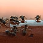 Soirée entre filles