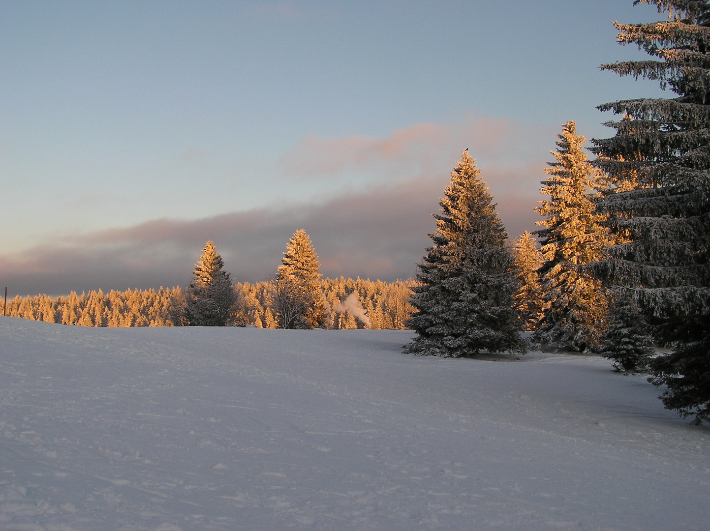 Soirée hivernale au Forêt Noir