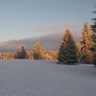 Soirée hivernale au Forêt Noir