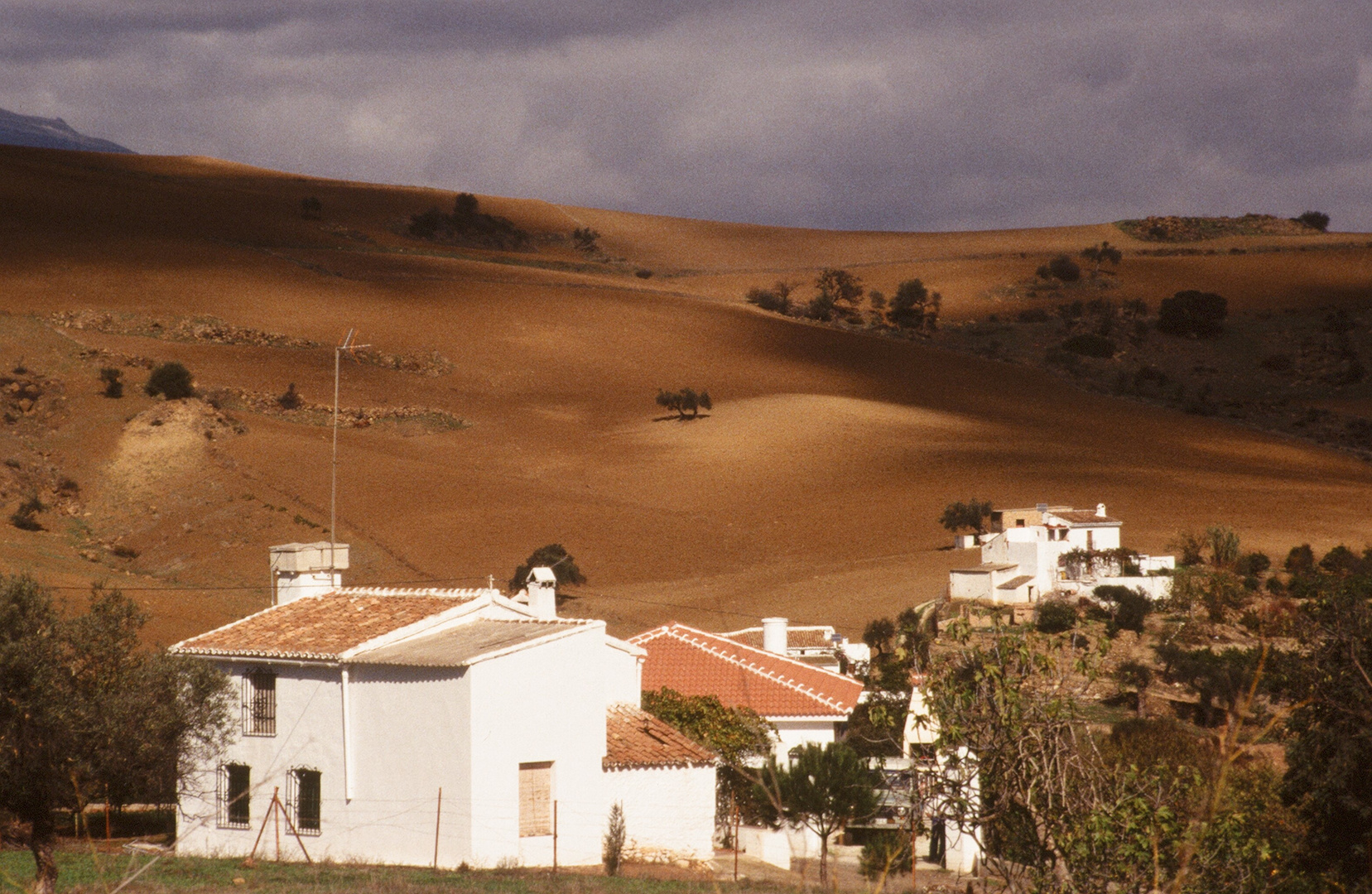 sol andaluz