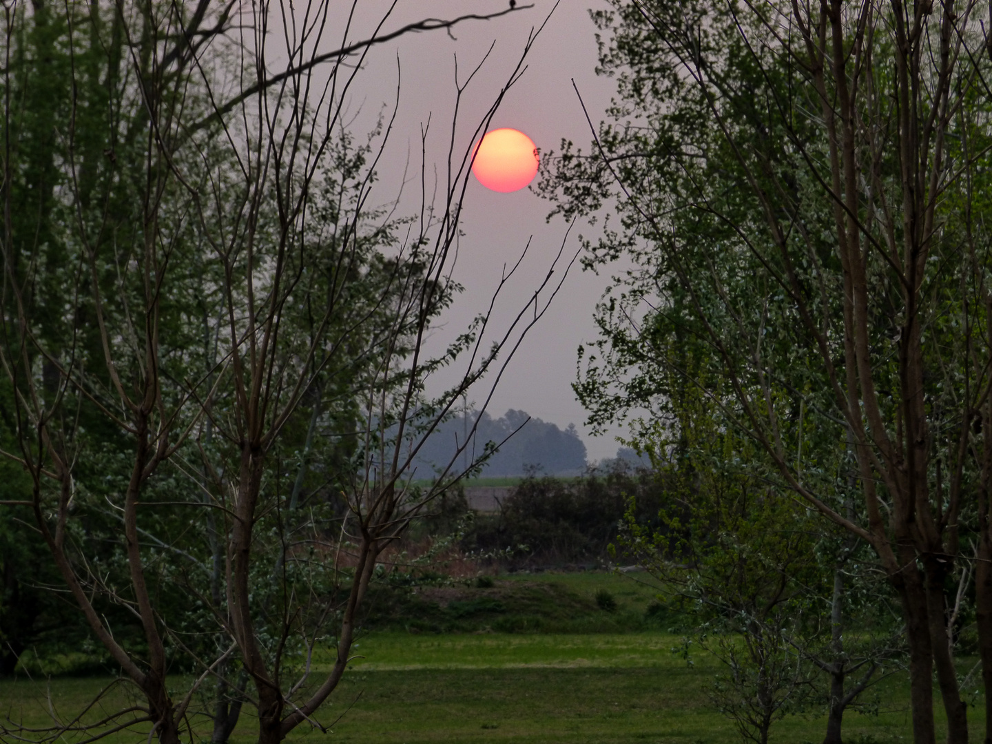 Sol de invierno II