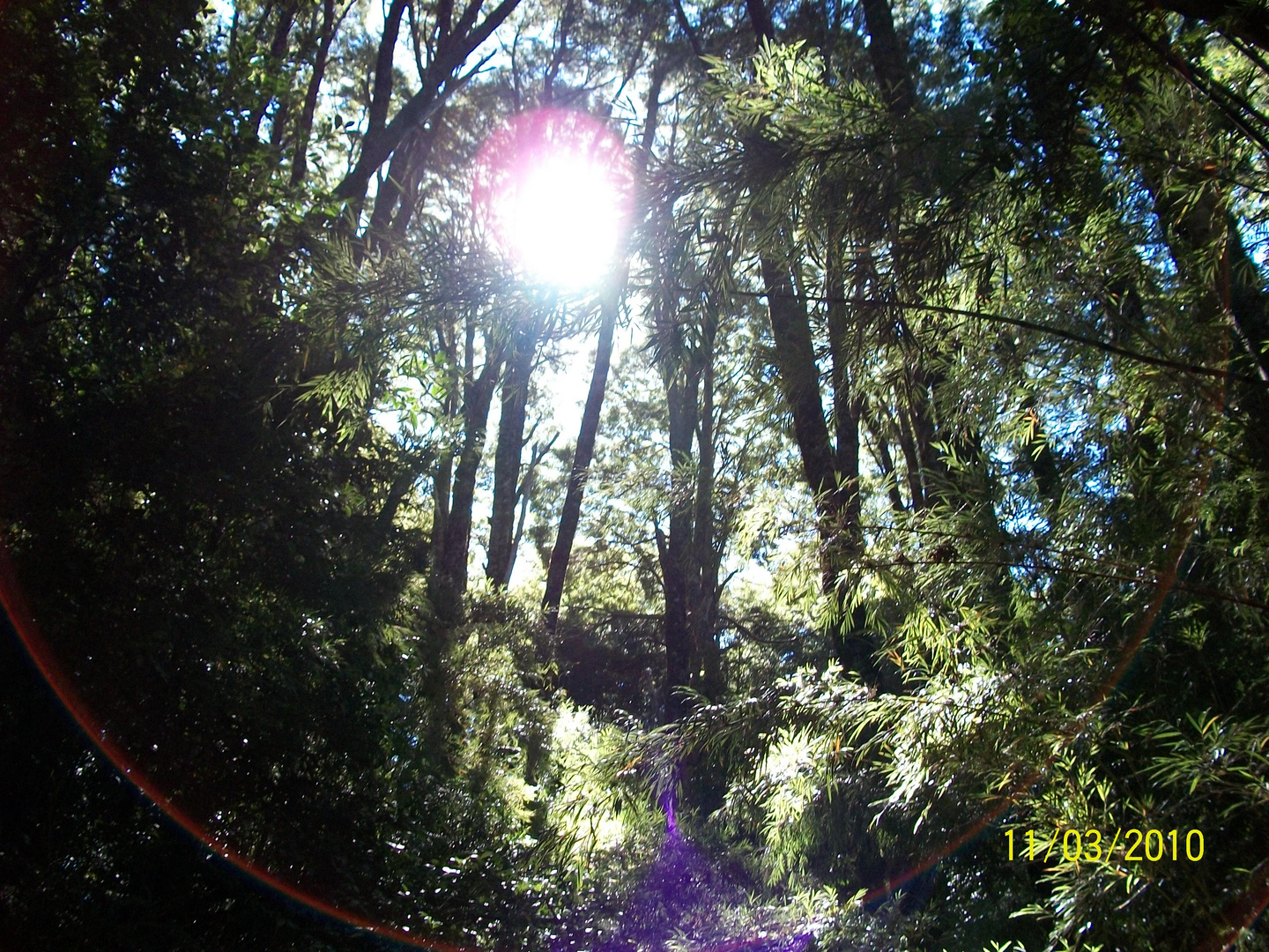 Sol de la mañana(cascada de los cantaros)