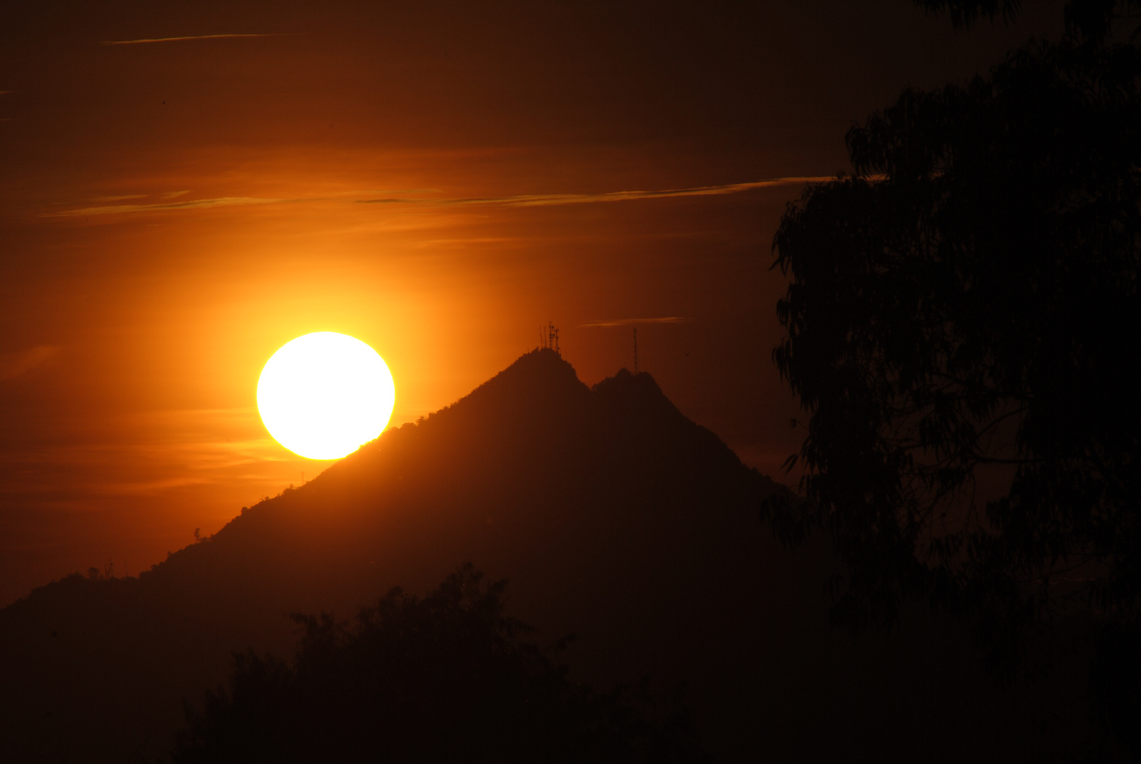 Sol de los venados