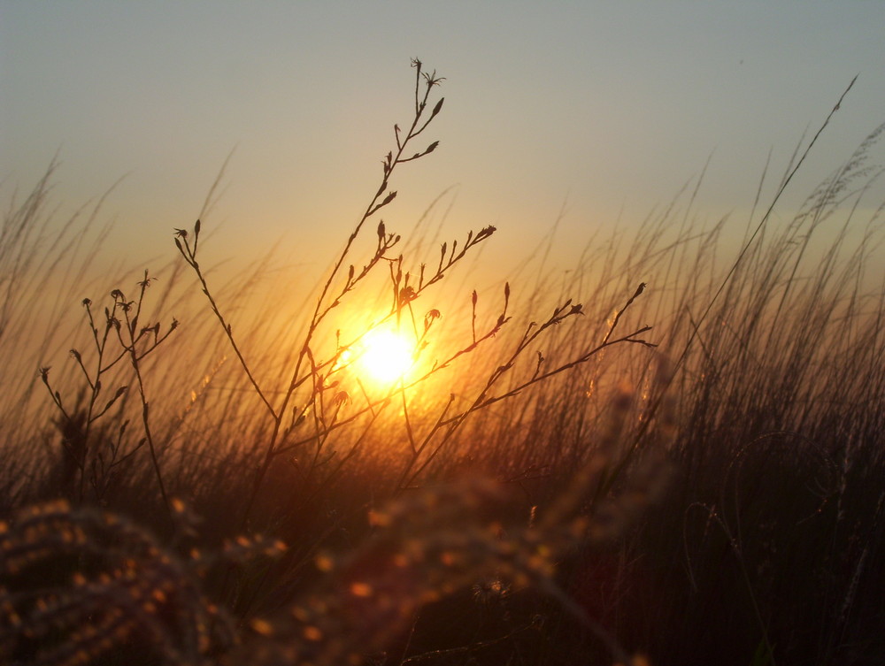 sol de otoño