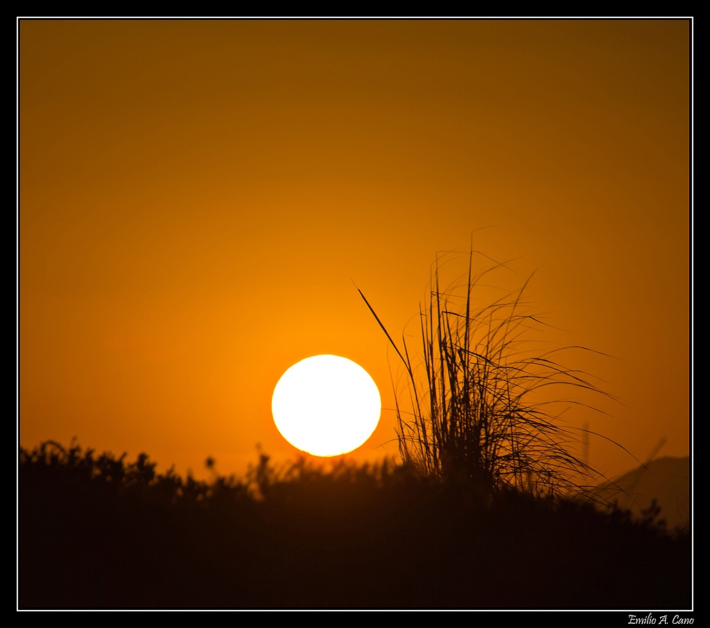 Sol de verano