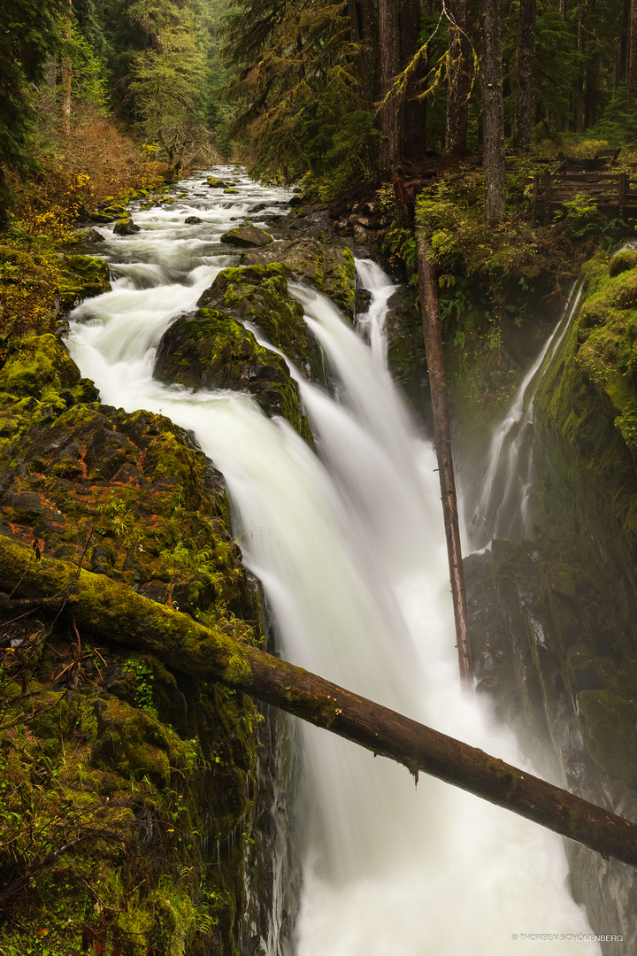 Sol Duc Falls