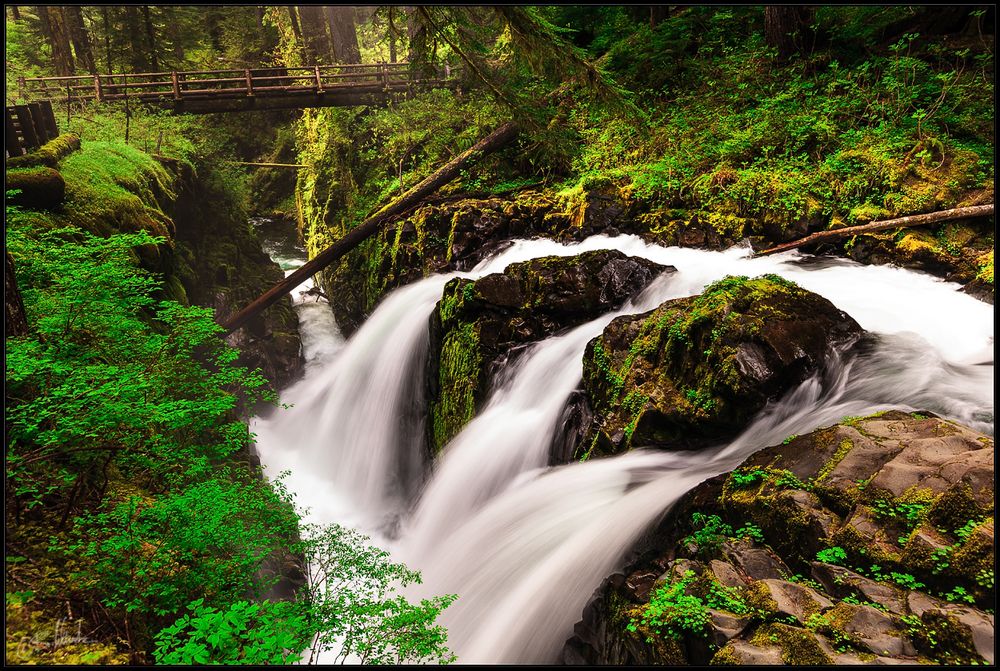 Sol Duc Falls