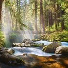 Sol Duc River