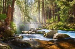 Sol Duc River