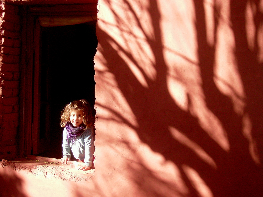 SOL Y LA SOMBRA DEL ARBOL