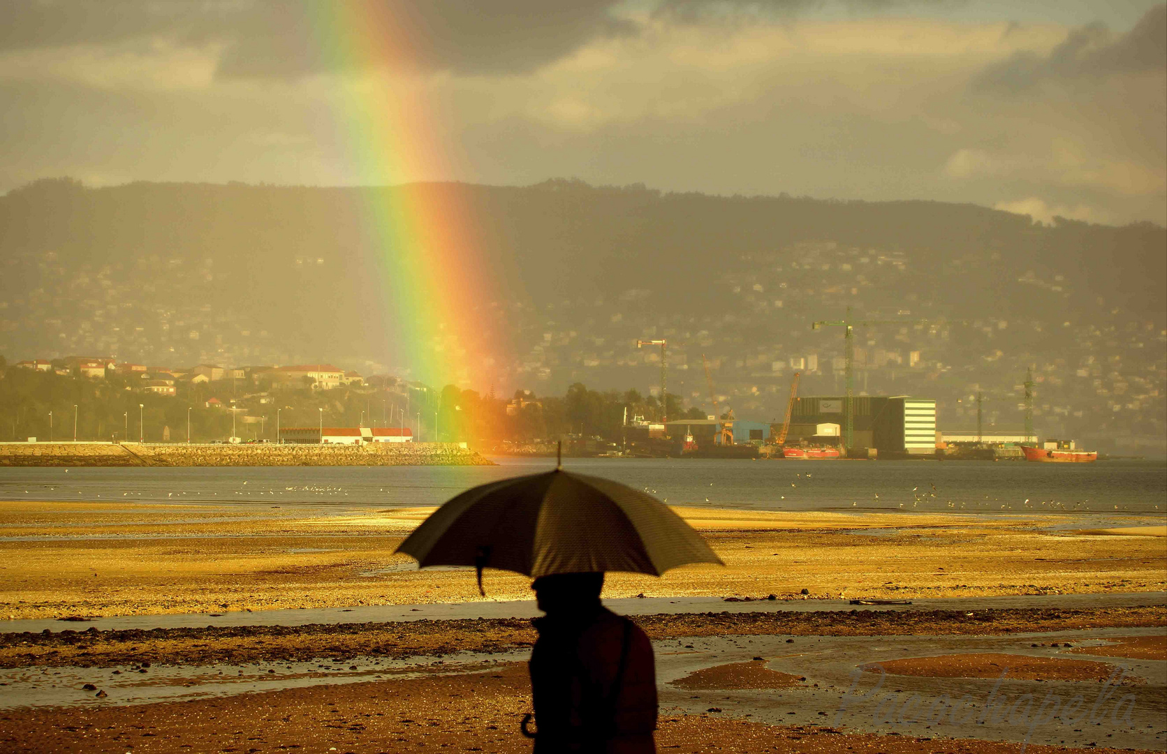 Sol y lluvia