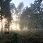 Sol y Niebla, mi energía