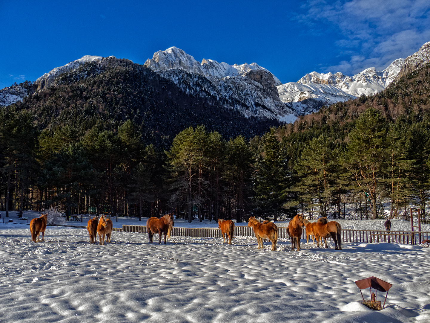 Sol y nieve