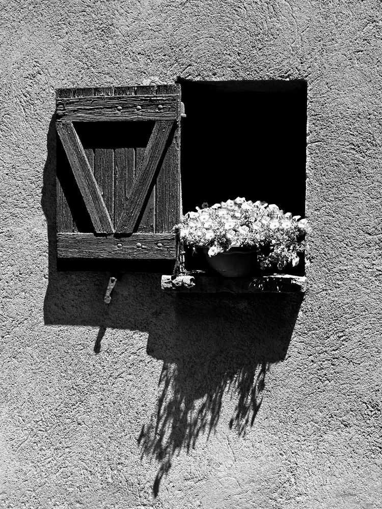 SoL Y SoMBRa Imagen & Foto estaciones del año, naturaleza, flores Fotos de SoL Y SoMBRa Imagen & Foto estaciones del año, naturaleza, flores Fotos de
