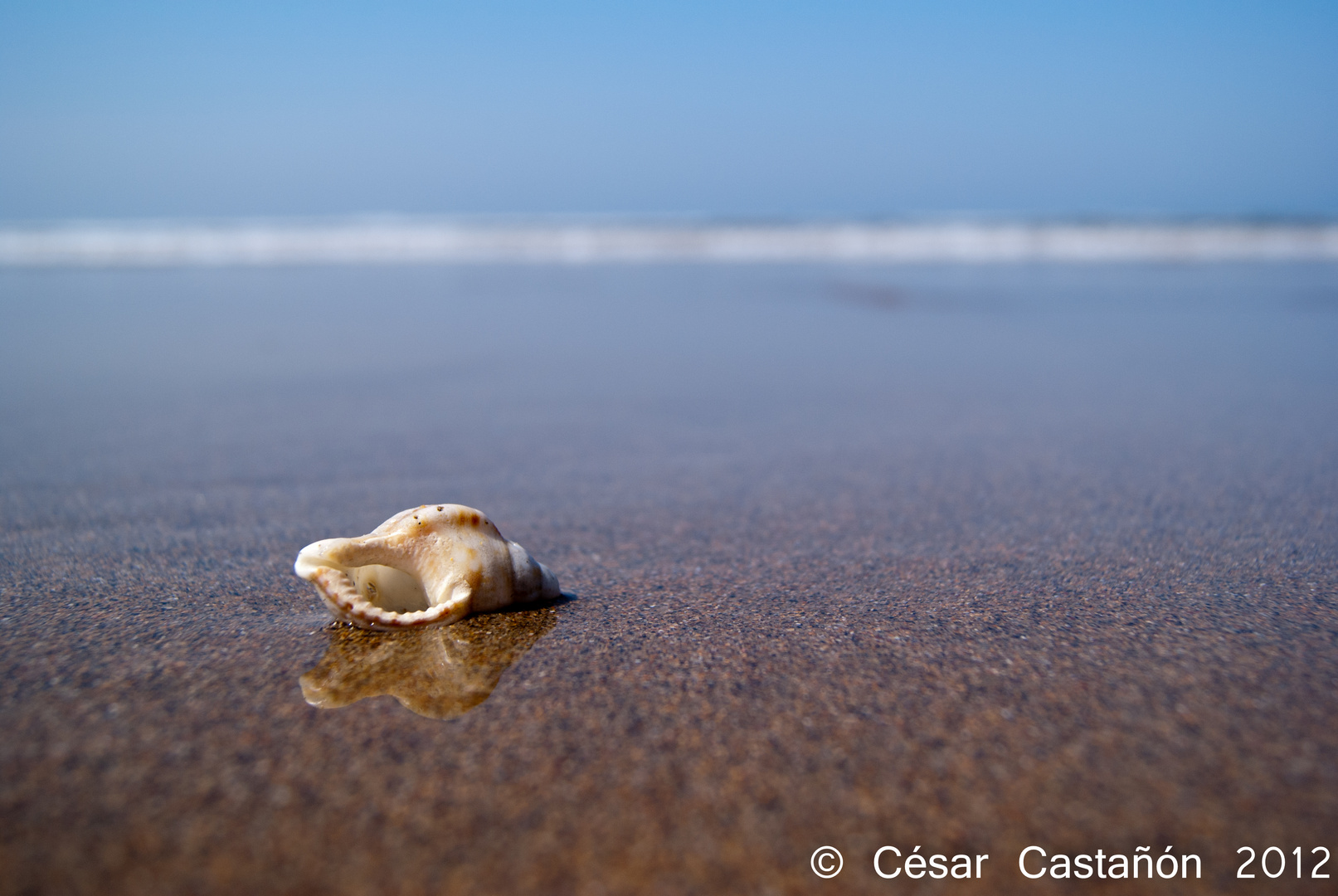 Sola ante el mar