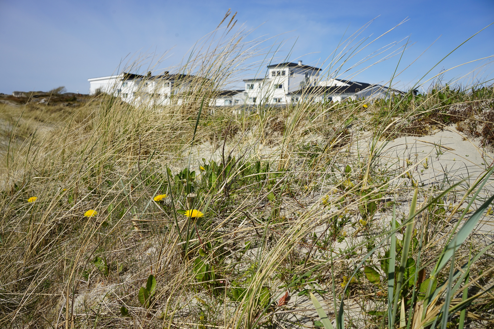 Sola Beach near Stavanger, Norway