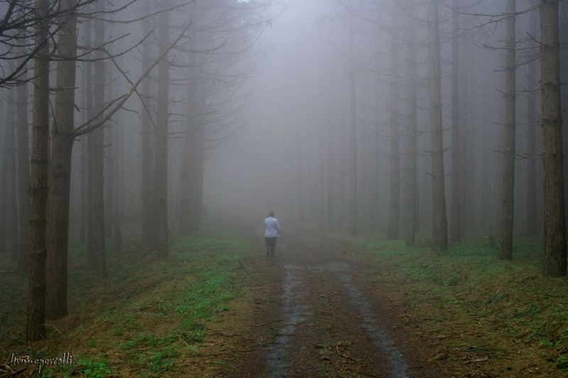 Sola nella nebbia