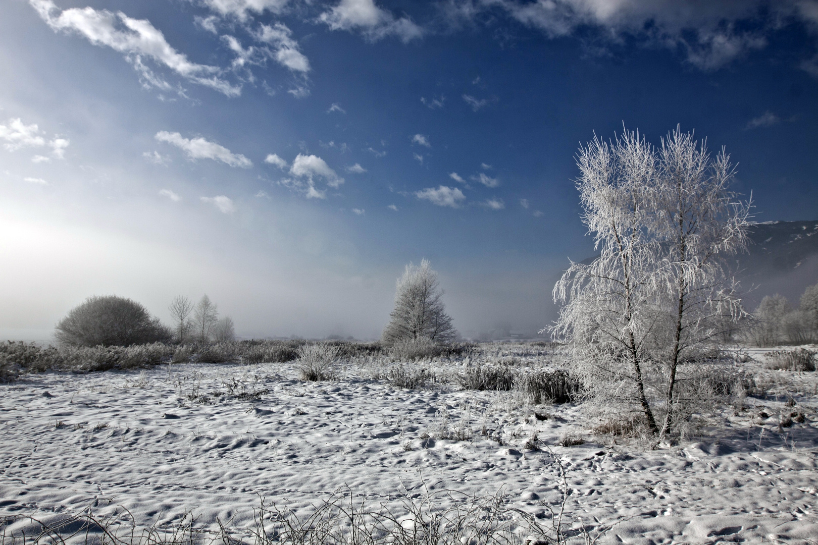 Solange der Nebel bleibt......