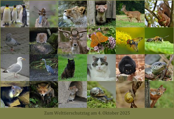 „Solange Menschen denken,...