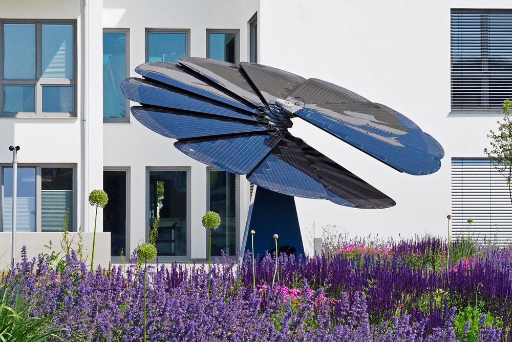 51+ Solarblume Garten, Wer kennt sie noch die solarblume?