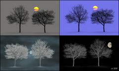 Solar- und Mondbäume