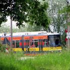 Solarbahn kommt aus dem Unterholz