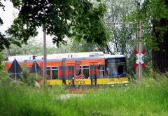 Solarbahn kommt aus dem Unterholz