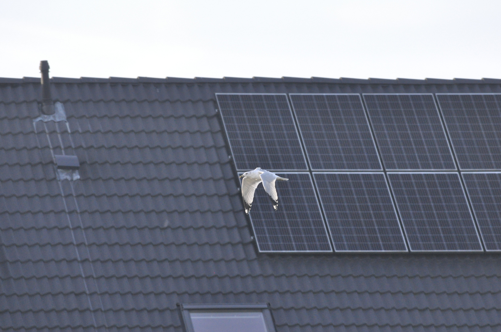 Solarpack auf dem Dach und auf dem Rücken