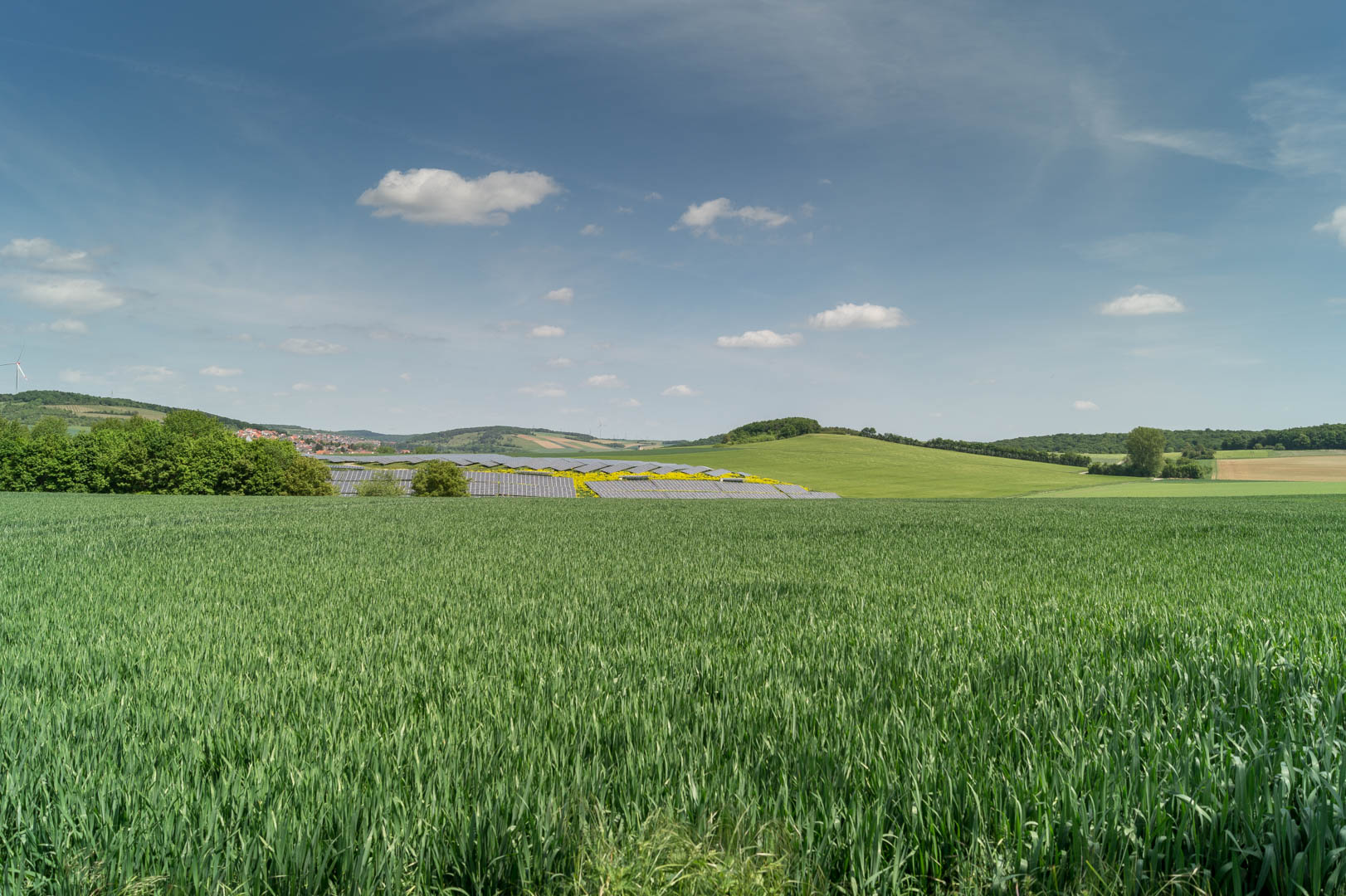 Solarpark im Frühling