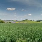 Solarpark im Frühling