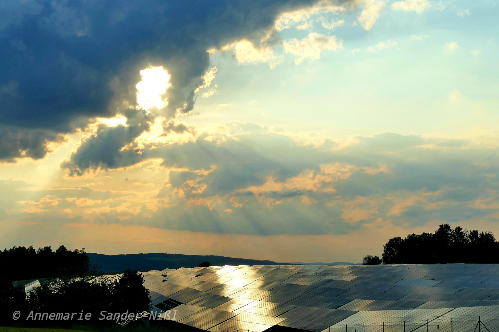 Solarpark im sunset