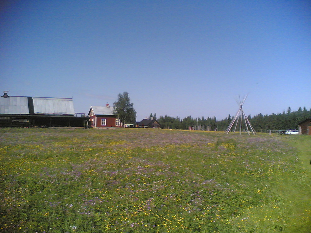 Solberget im Sommer