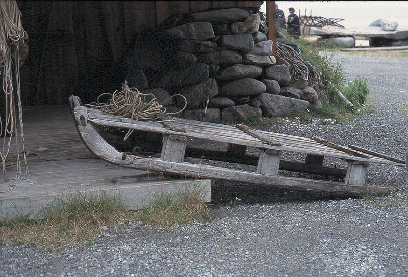 Solch ein Rentnerleben findet man auf den Lofoten