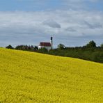 Solche blühende Landschaft....