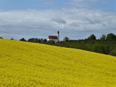 Solche blühende Landschaft....