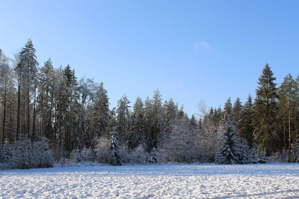 solche Landschaft wünsch ich mir zum Fest