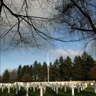 Soldaten Friedhof - Henri Chapelle