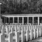 Soldatenfriedhof 04