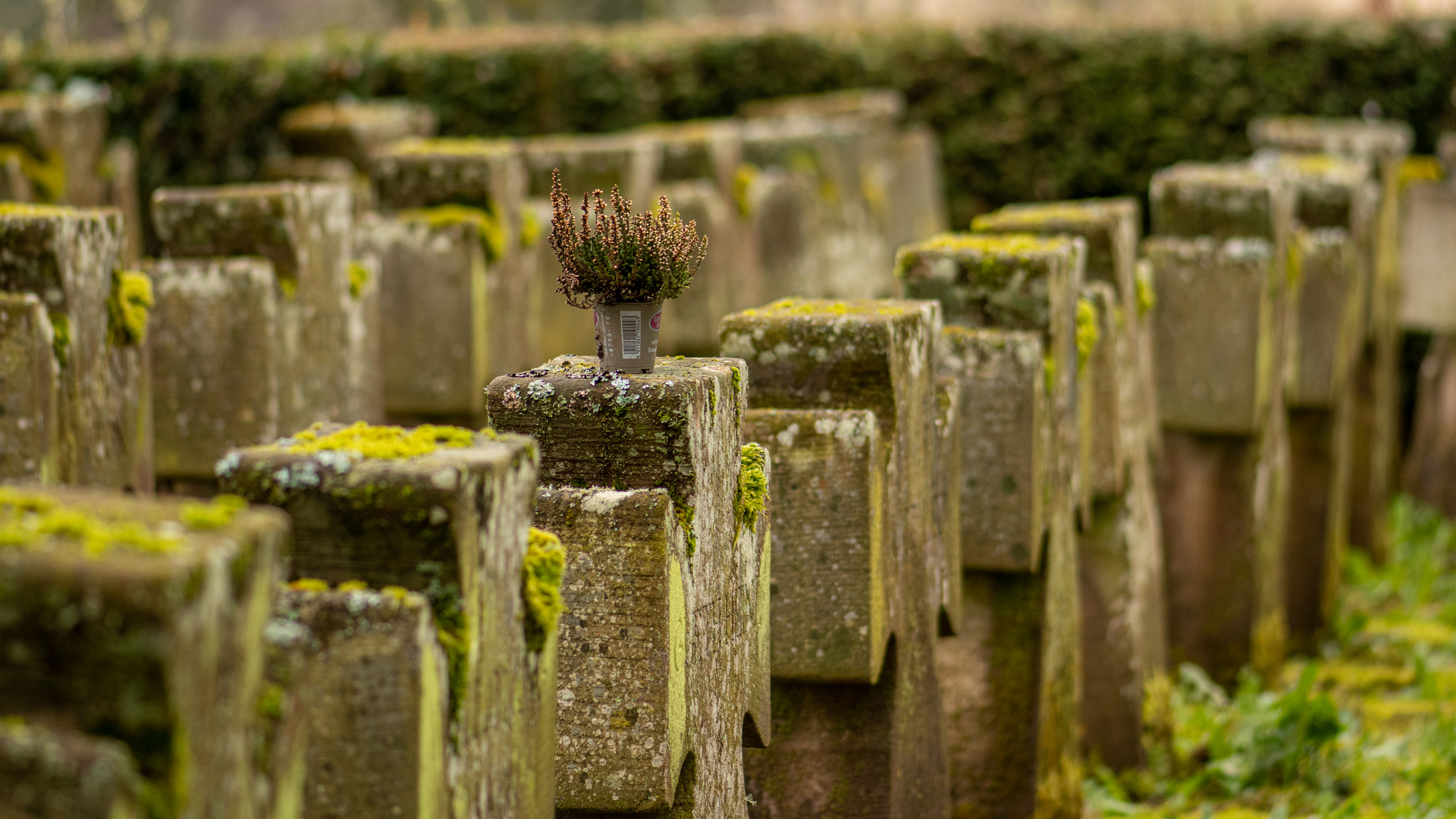 Soldatenfriedhof