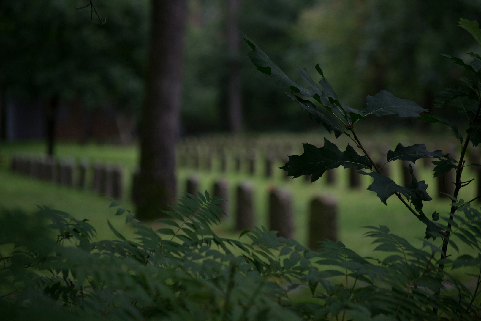 Soldatenfriedhof