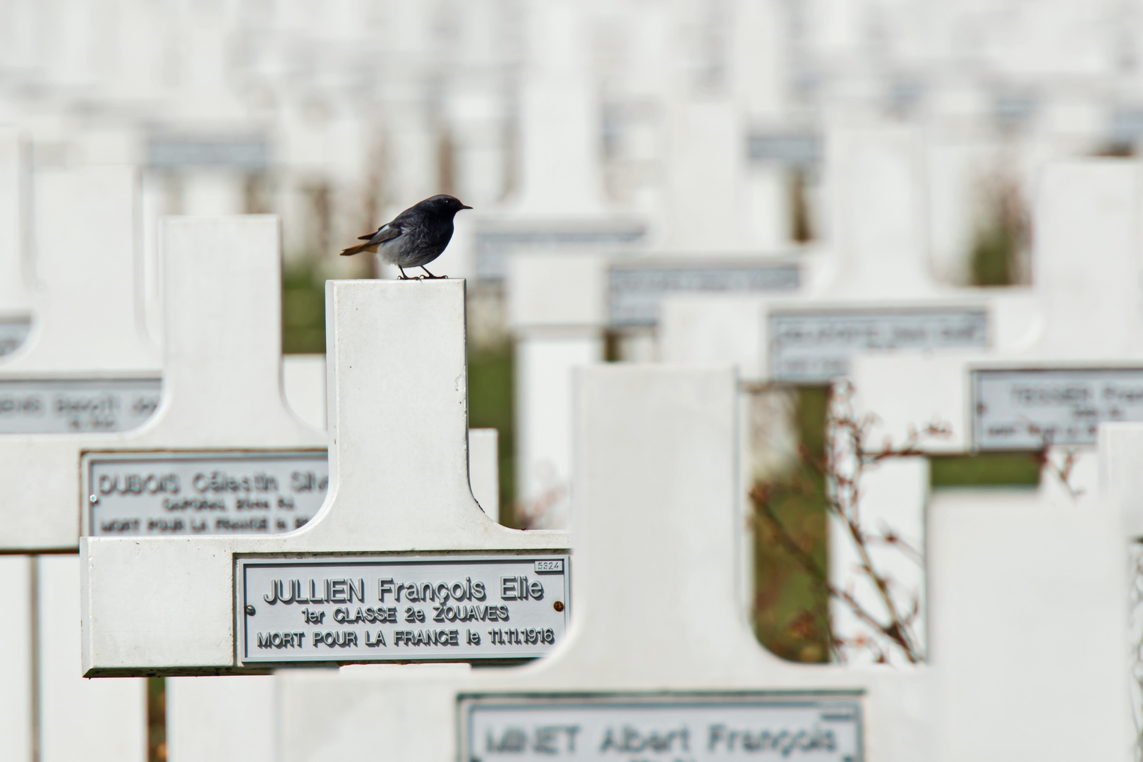 Soldatenfriedhof Douaumont (Verdun)